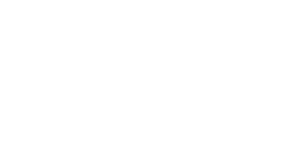 에이스 게이밍 logo